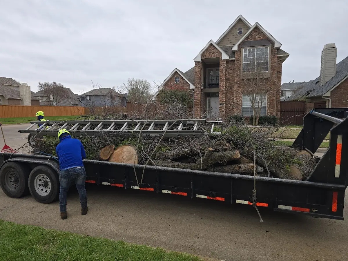 Expert Tree Removal with proper safety equipment in Churubusco